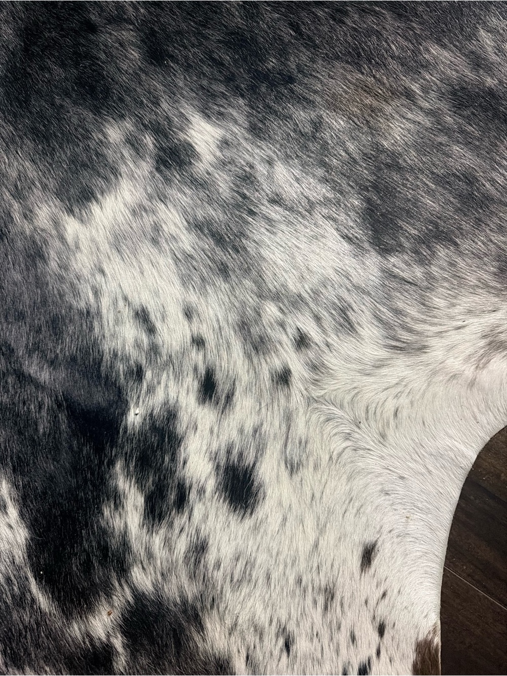 Real Cowhide Accent Rug - Picture 2 of 4